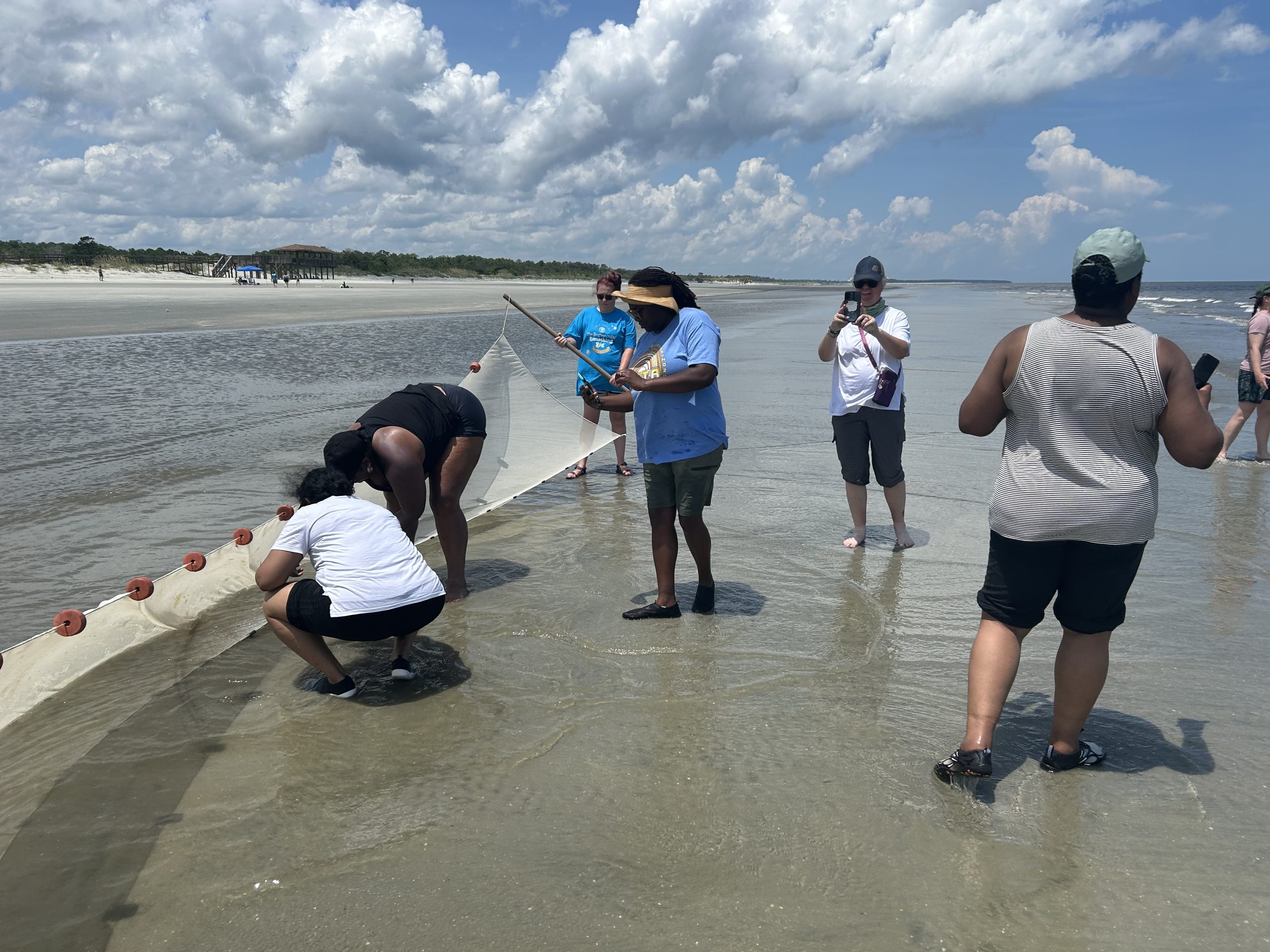 A group of women pulling fish out of a minnow seine net on a beach