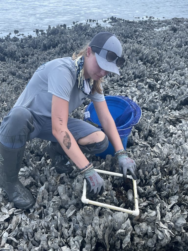 Woman crouching on oyster bed with a square quadrat and a blue bucket